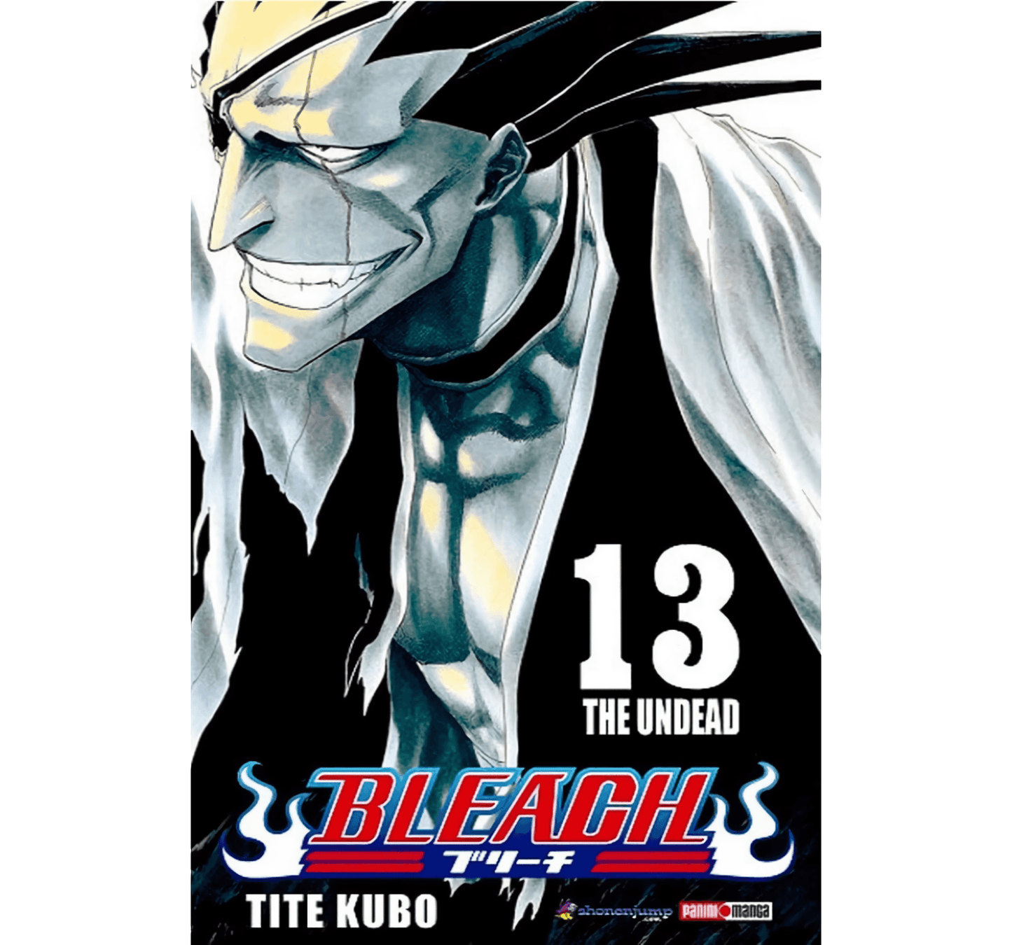Bleach Vol. 13 (Español) - Kinko