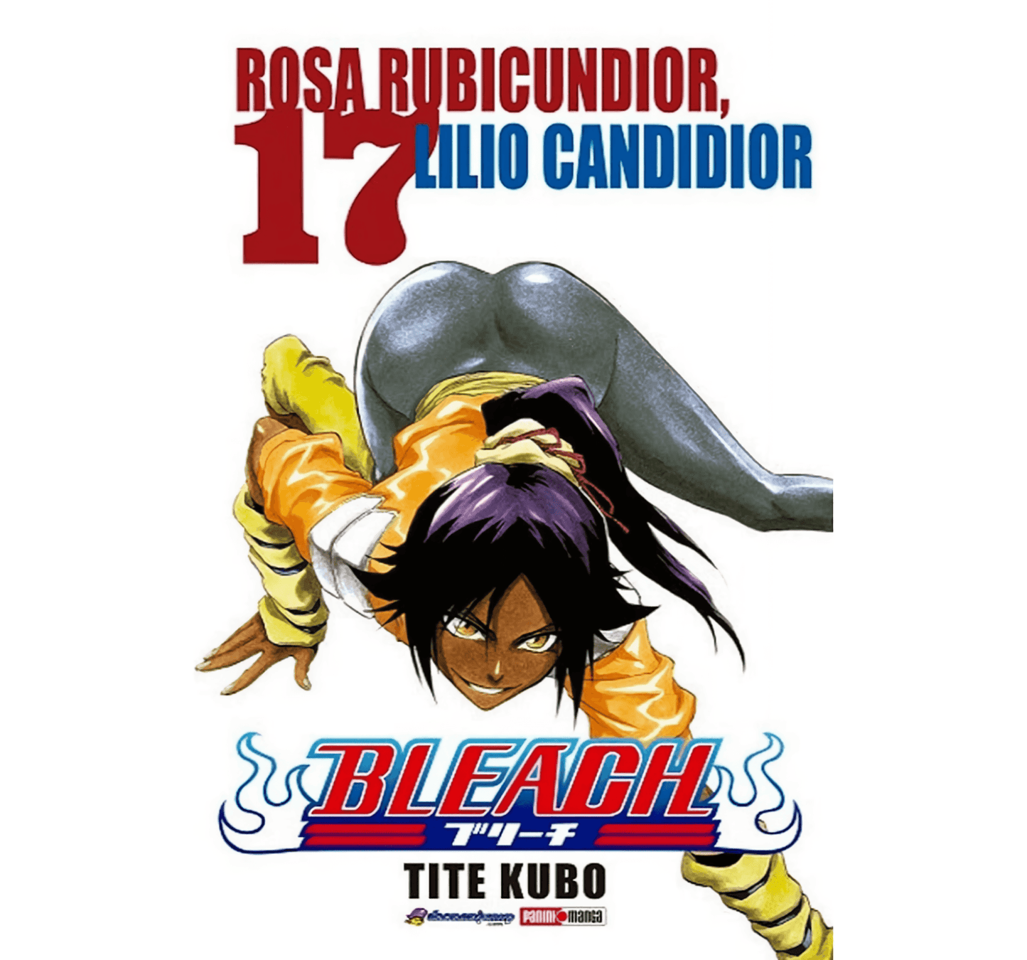 Bleach Vol. 17 (Español) - Kinko