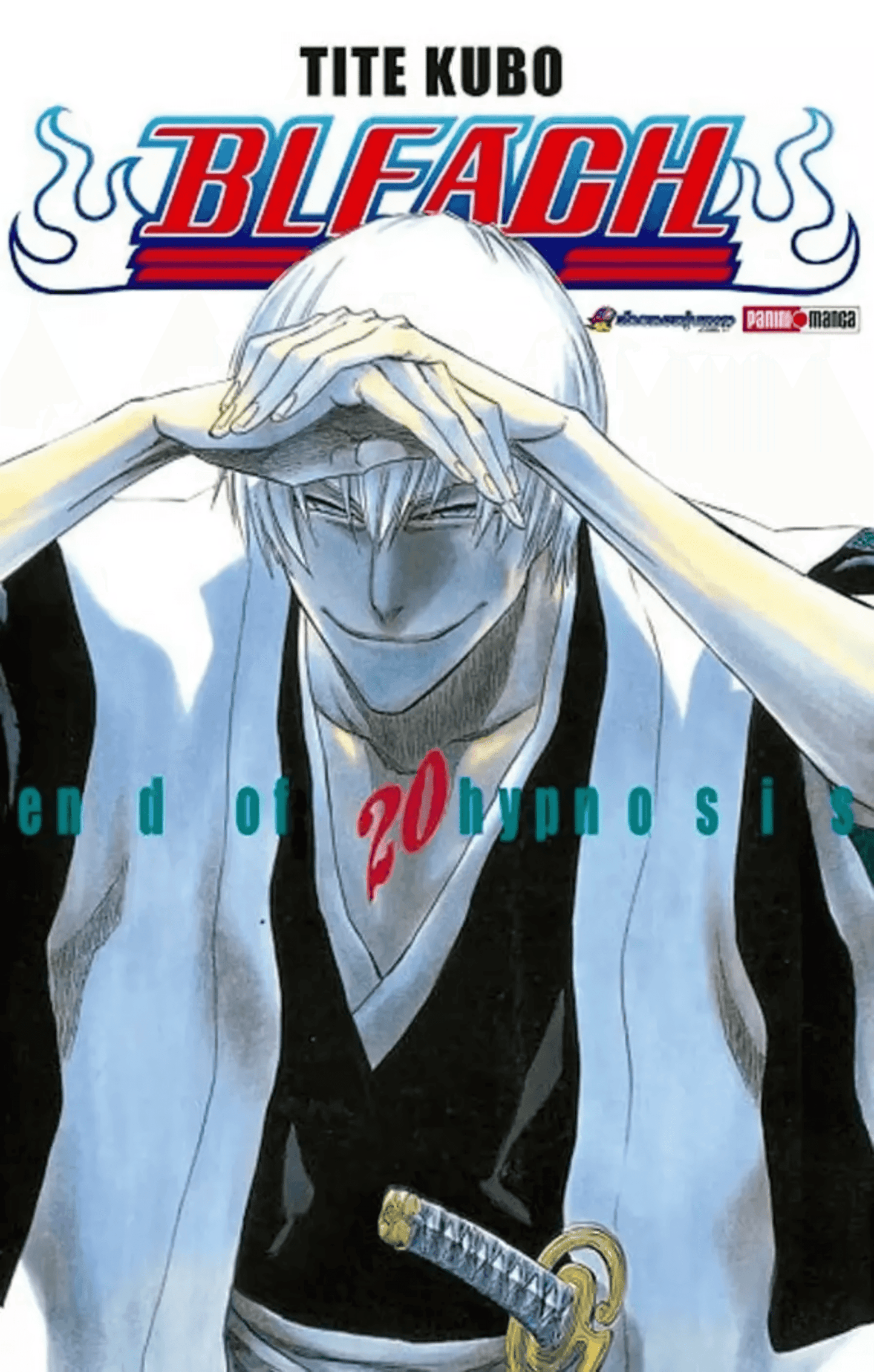 Bleach Vol. 20 (Español) - Kinko