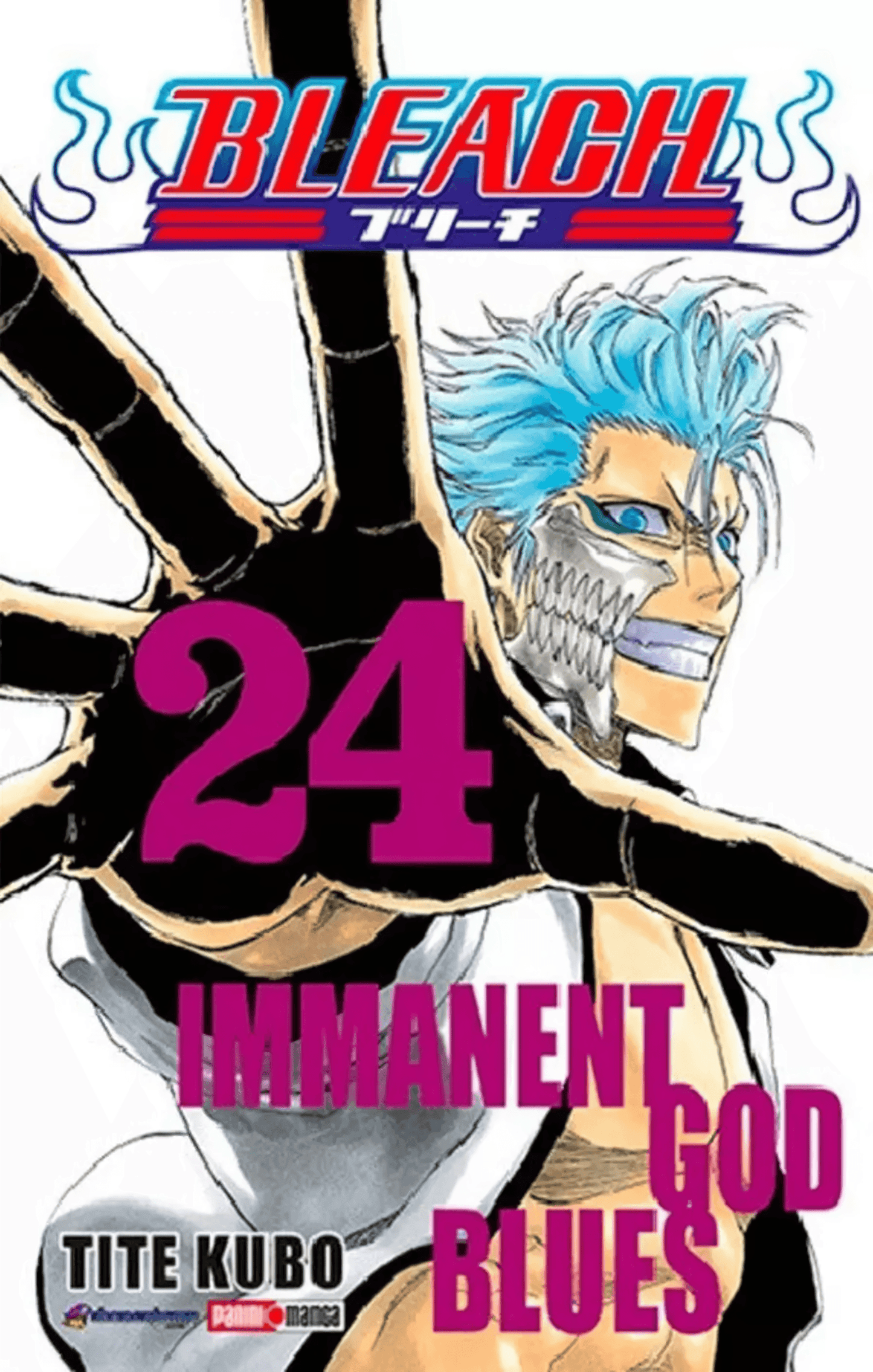 Bleach Vol. 24 (Español) - Kinko