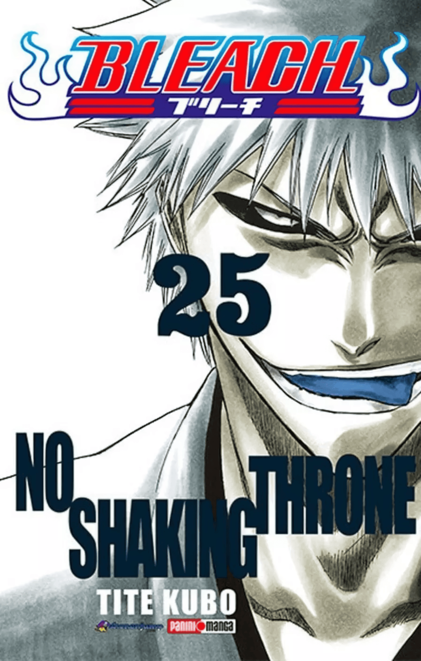 Bleach Vol. 25 (Español) - Kinko
