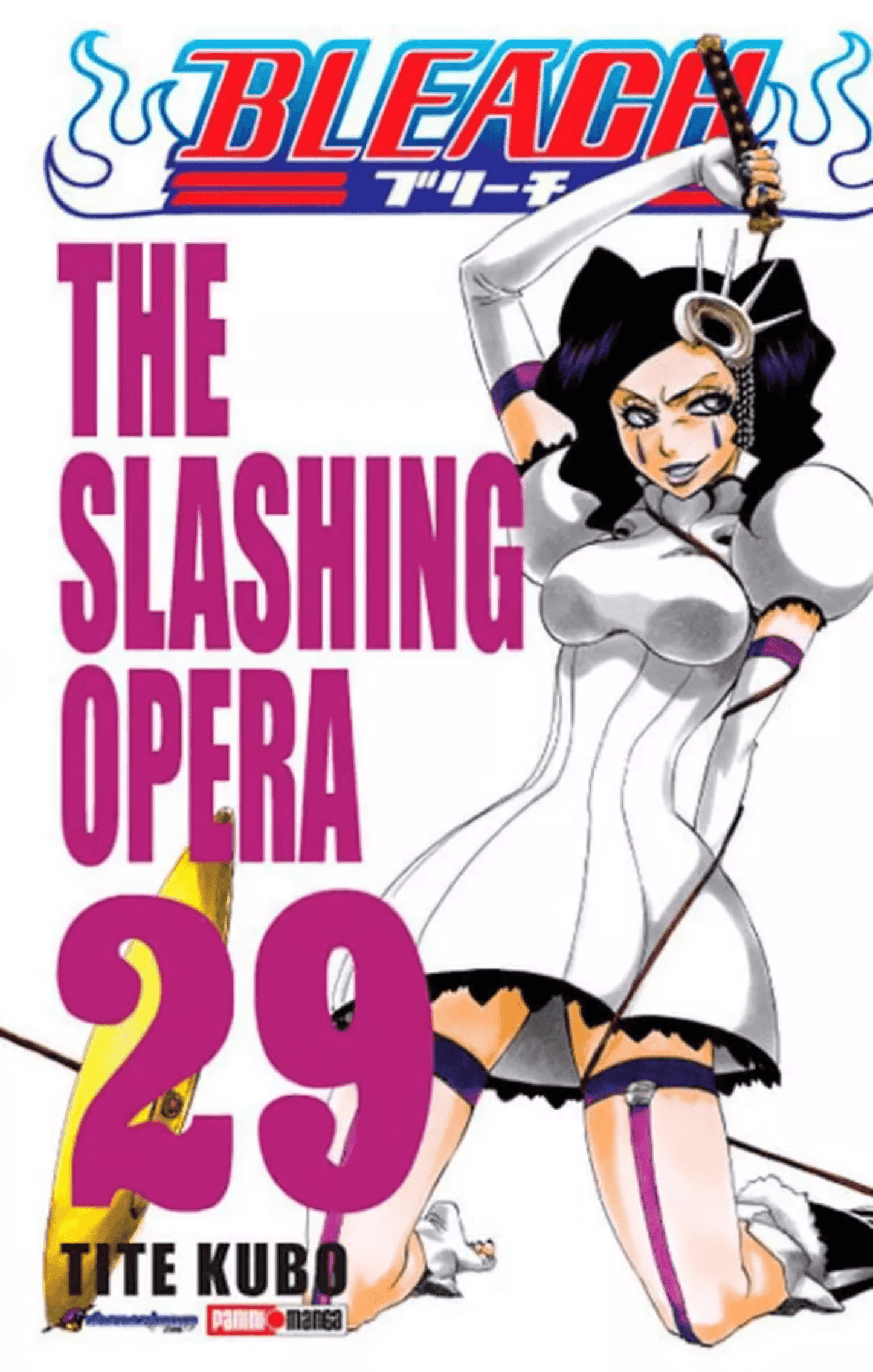 Bleach Vol. 29 (Español) - Kinko