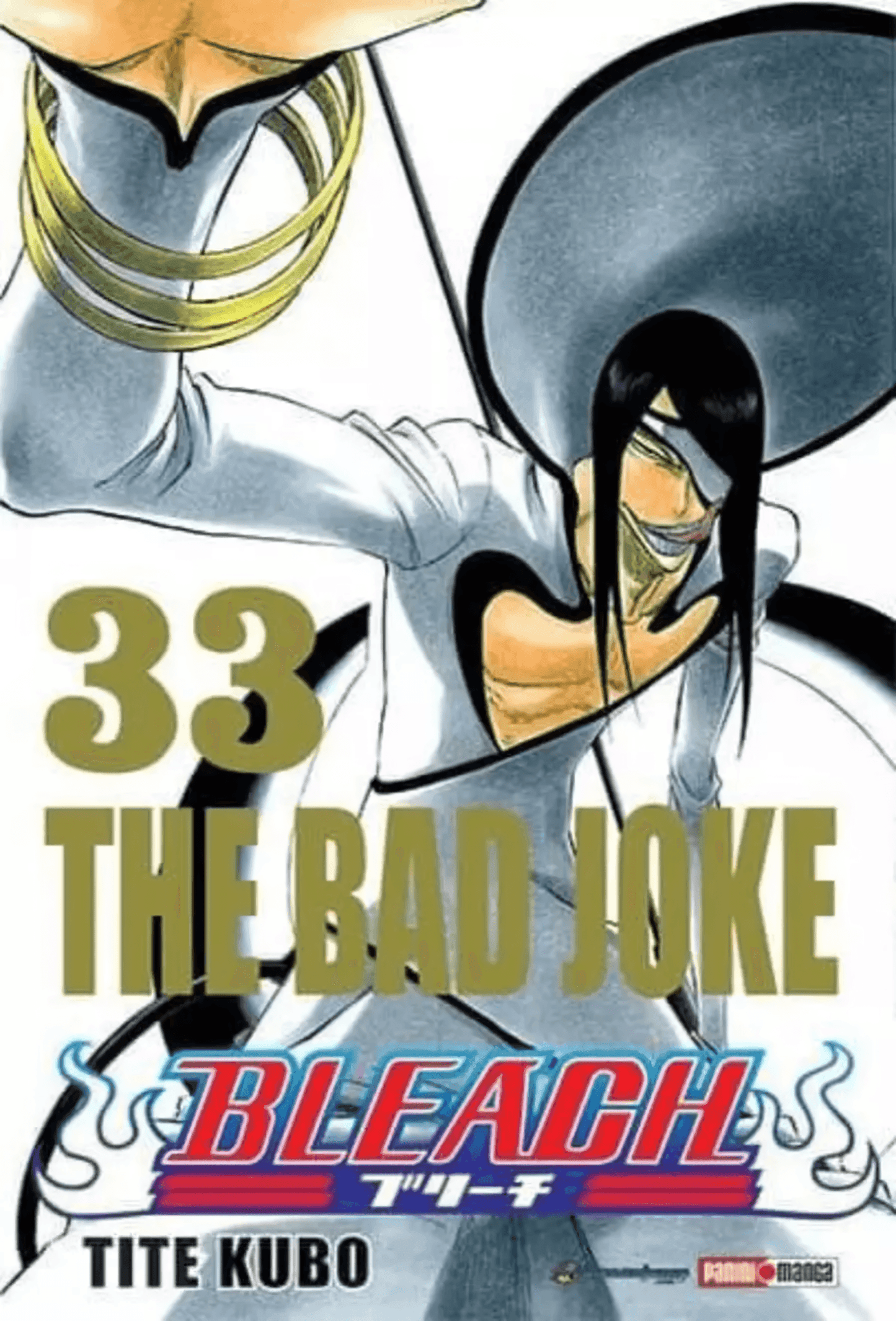 Bleach Vol. 33 (Español) - Kinko