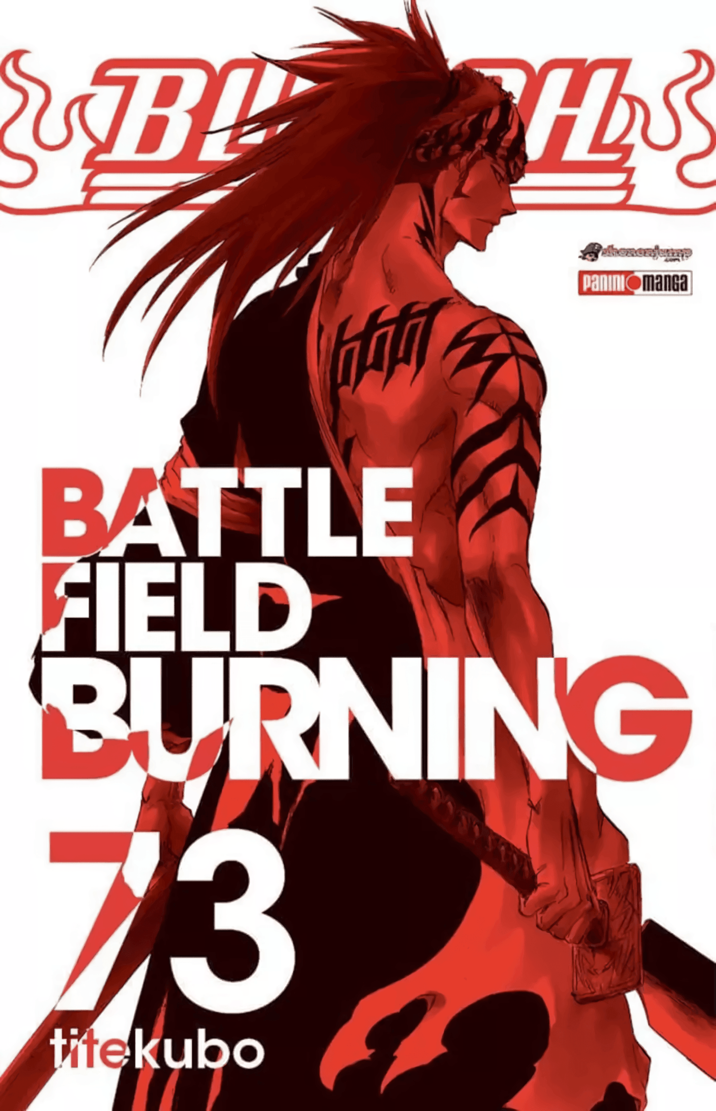 Bleach Vol. 73 (Español) - Kinko