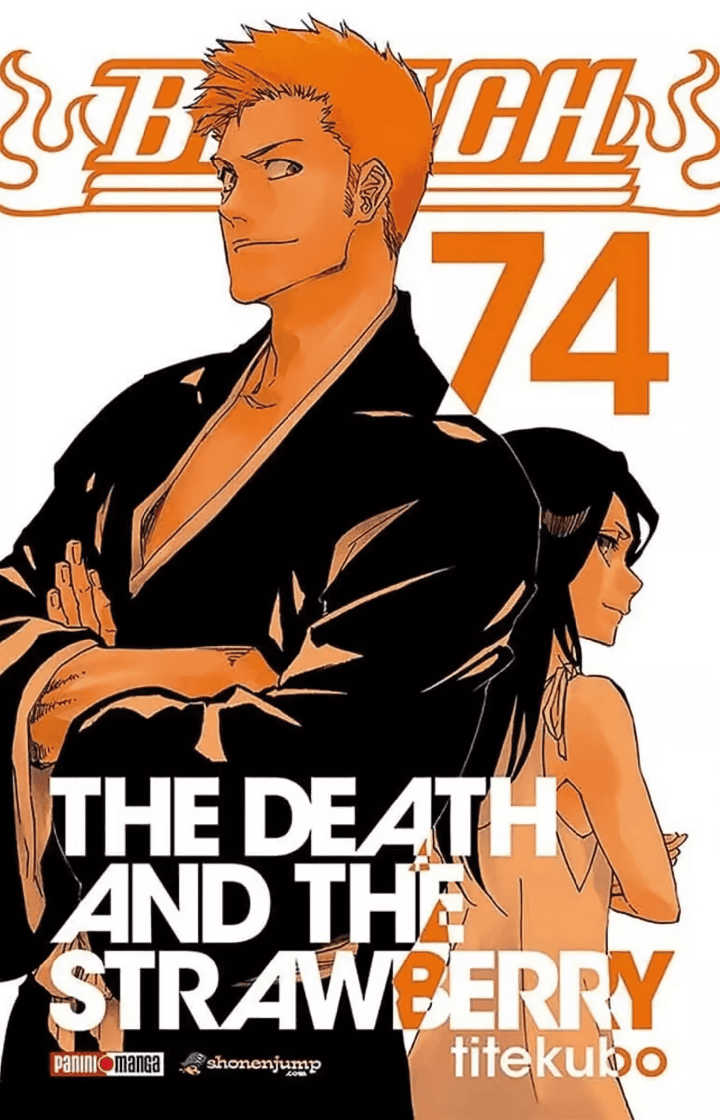 Bleach Vol. 74 (Español) - Kinko