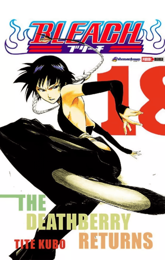 Bleach Vol. 18 (Español) - Kinko
