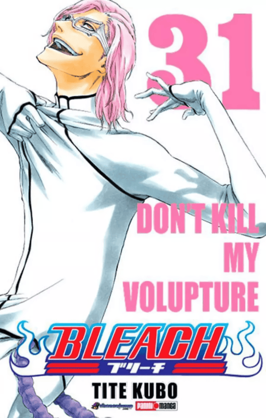 Bleach Vol. 31 (Español) - Kinko