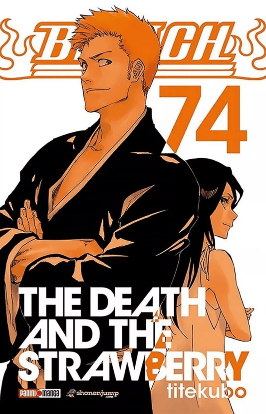 Bleach Vol. 74 (Español) - Kinko