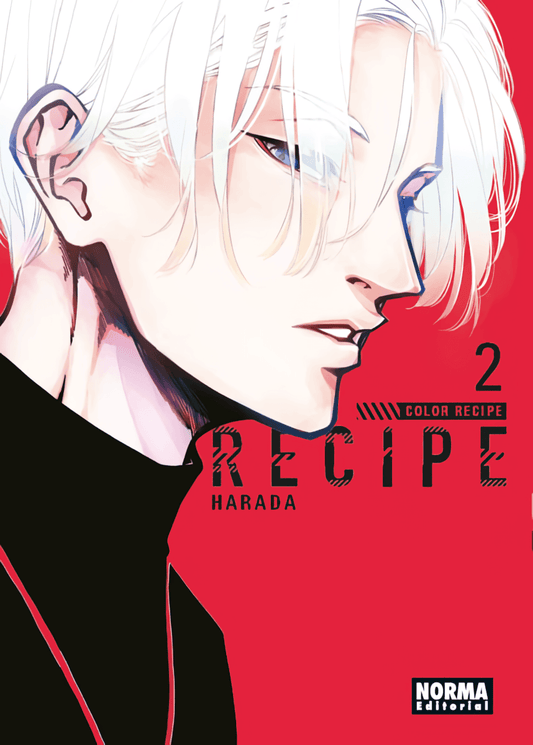 Color Recipe Vol. 2 (Español España) - Kinko