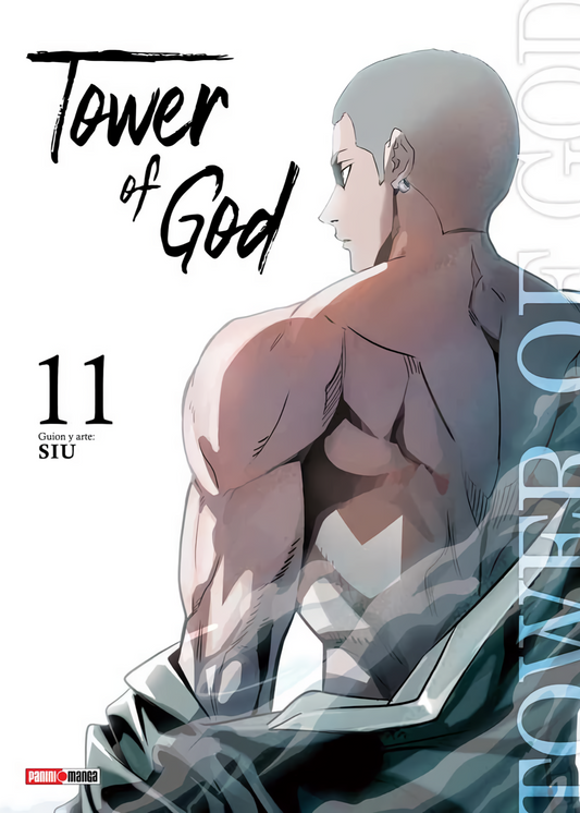 Tower of God Vol. 11 (Español)